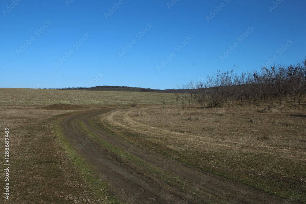 Naklejka premium A field with a sign on it