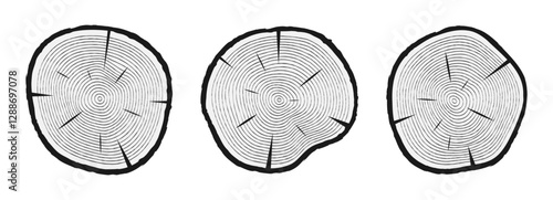 Tree trunk cuts with tree rings. Sliced tree trunks set. Hand drawn wooden texture. Vector.
