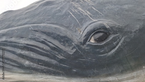 Close-up of the whale statue in the park
