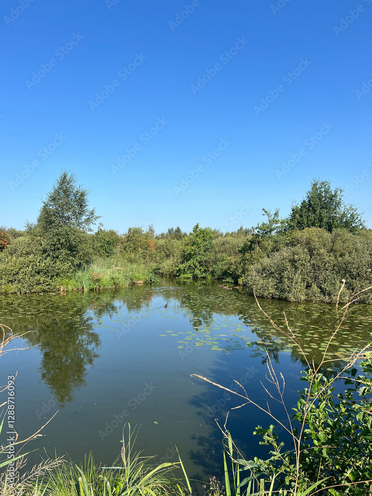 Lake around De Deelen in Friesland