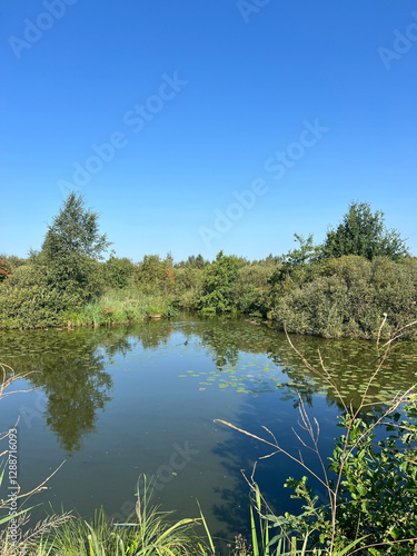 Obraz na płótnie Lake around De Deelen in Friesland w salonie