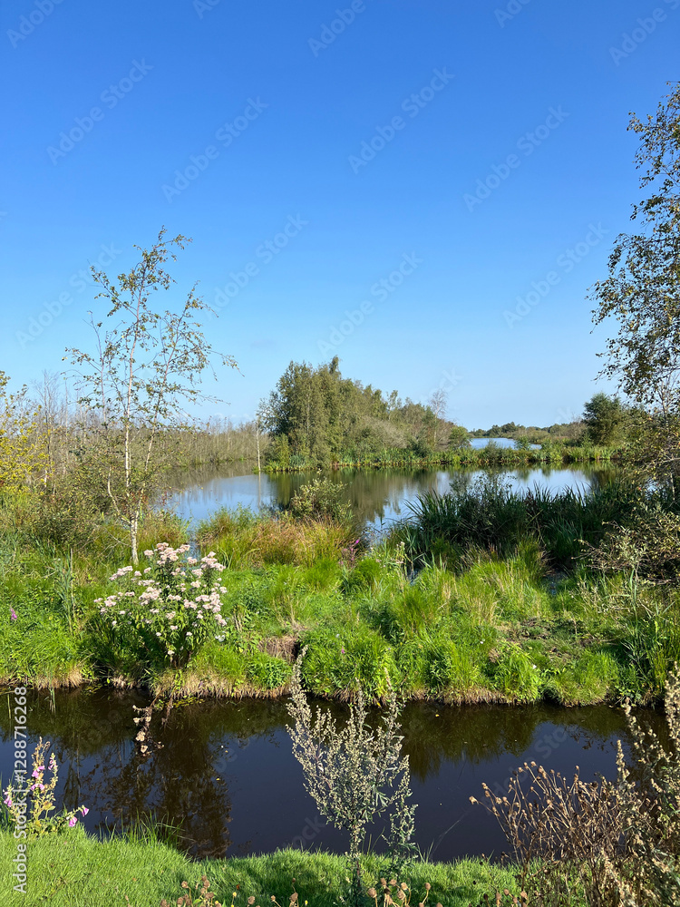 De Deelen in Friesland