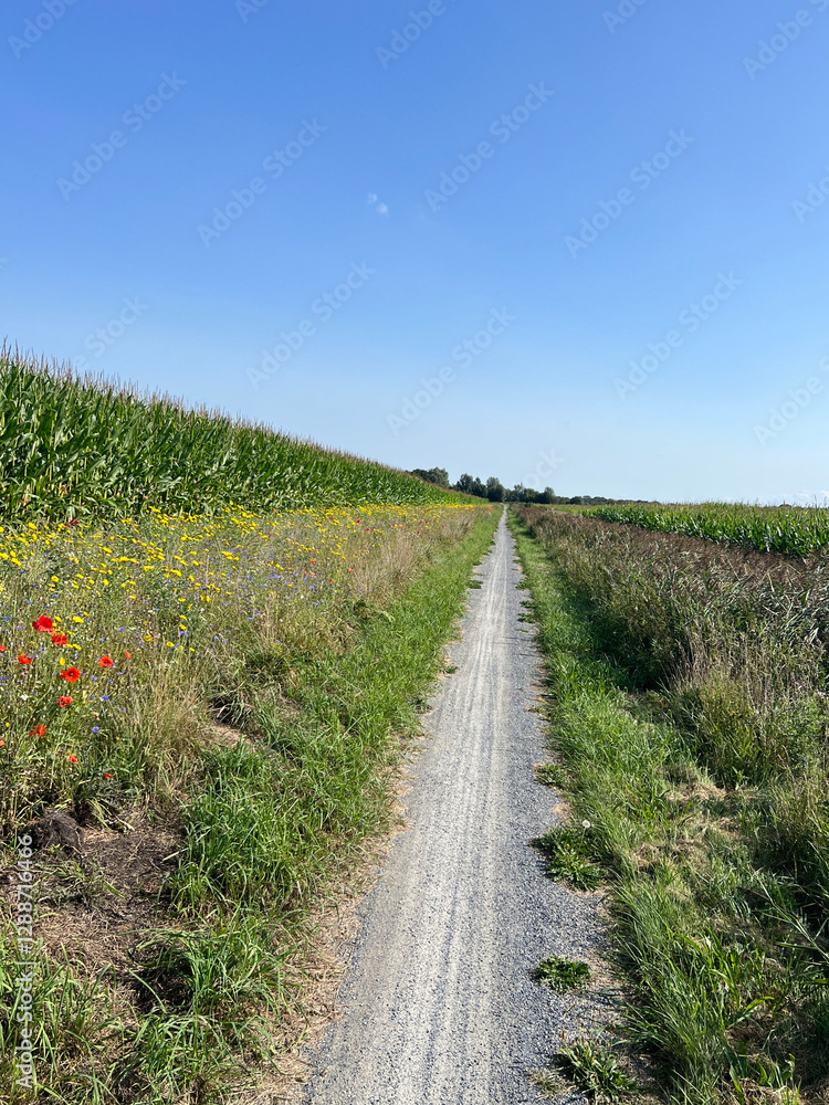 Bicycle path around Nij Beets in Friesland