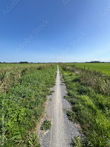 Obraz na płótnie Bicycle path around Nij Beets in Friesland w salonie