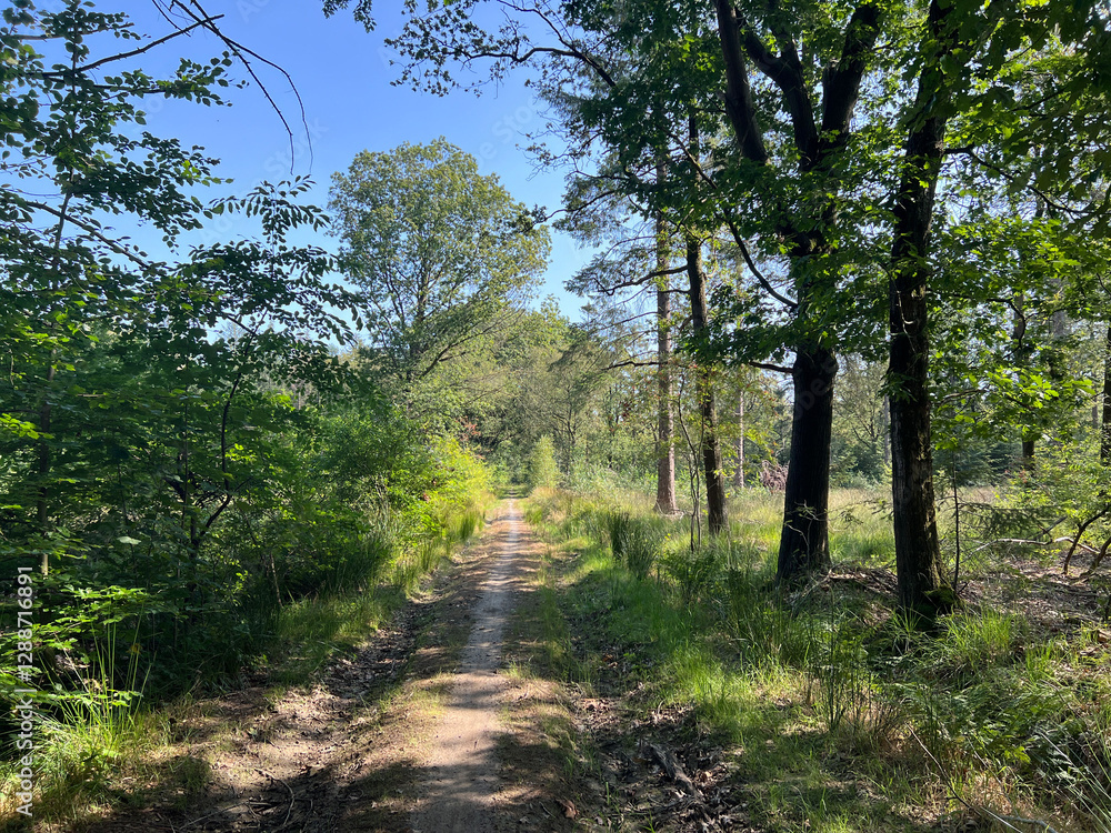 Bicycle path around Beesterzwaag in Friesland