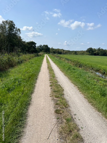 Obraz na płótnie Bicycle path around Oudehaske in Friesland w salonie