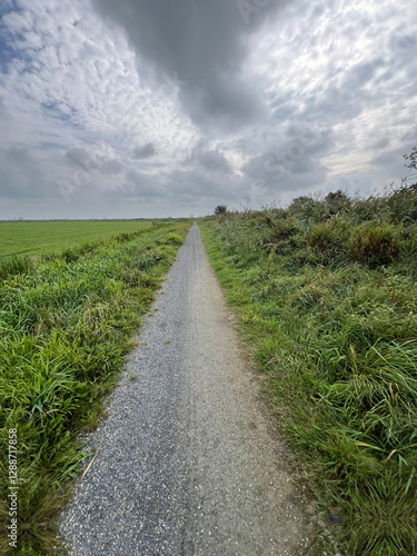 Obraz na płótnie Bicycle path around Rotstergaast w salonie