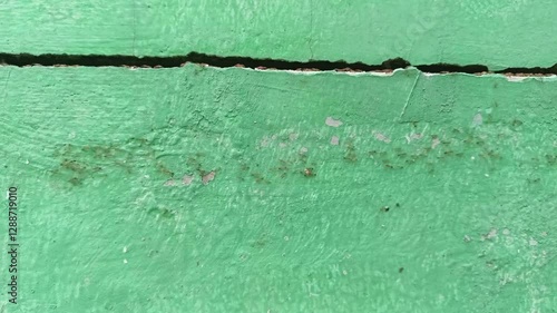 marching ants looking for food