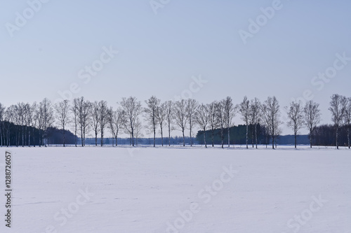 北海道の雪景色