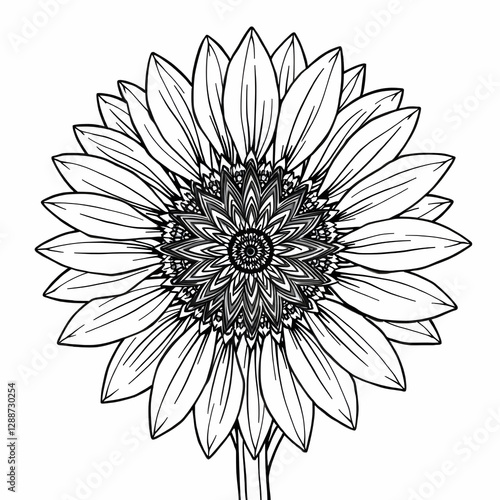 Detailed Black and White Illustration of Single Sunflower Intricate Line Work Botanical Drawing High Contrast