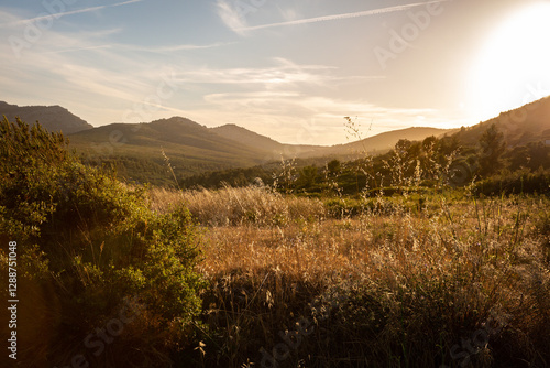 Paysage de montagne avec champs d'herbes séchées sauvages au premier plan et montagne en arrière plan au coucher du soleil rasant dans une lumière douce