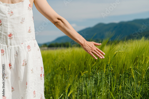 Εκτύπωση καμβά Woman hand touching green young wheat plants in field at summer