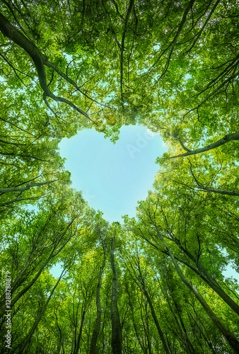 A heart-shaped opening in a lush green forest canopy, revealing a bright blue sky, symbolizing love, nature, and sustainability. Perfect for eco-friendly and romantic themes.