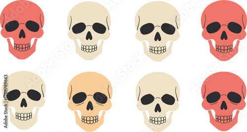 Colorful skull illustrations arranged in a grid pattern showcasing different shades and expressions