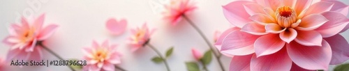 Delicate paper dahlia, curled edges, pastel shades,  delicate,  event,  macro