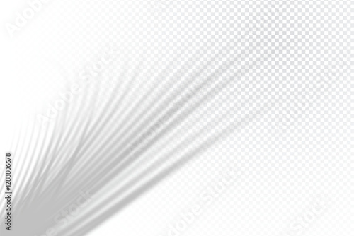 Realistic isolated vector palm leaf shadow effect. Transparent tropical plant leaf shadow overlay effect.