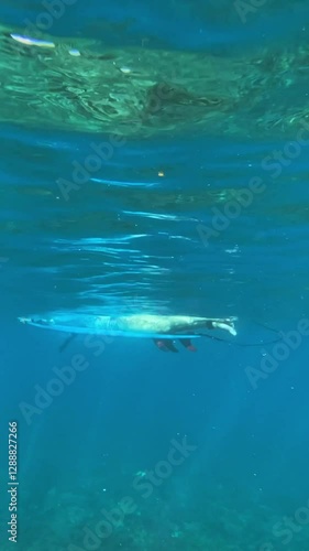 Wallpaper Mural Male surfer sitting on a surfboard in Indian Ocean and waiting his wave. Vertical video Torontodigital.ca