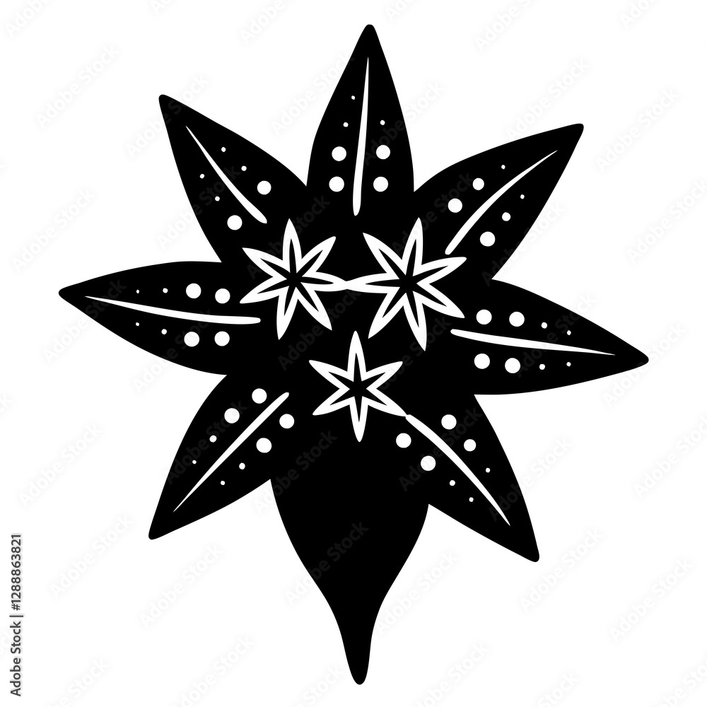 Obraz premium black and white star