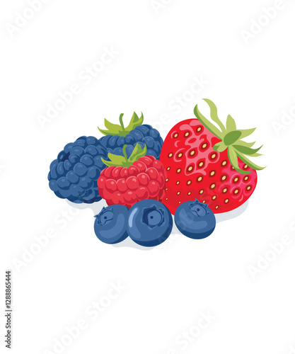 Strawberry, blackberry, raspberry, blueberry vector illustration isolated on white background