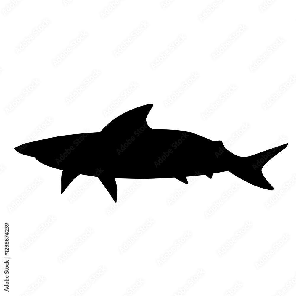 Shark Silhouette Shark Silhouette