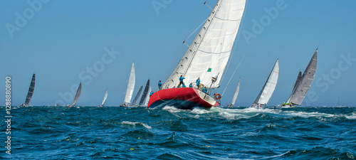 Sailing yachts regatta. Yachting. Sailing race Australia