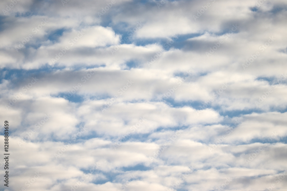 Fototapeta premium Abstract background with blue sky and small white clouds. Mackerel sky with altocumulus cloud