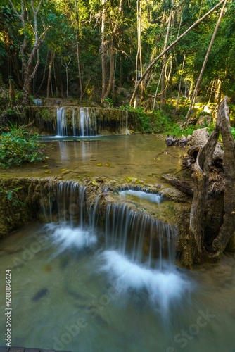 Serene Waterfall in Lush Forest