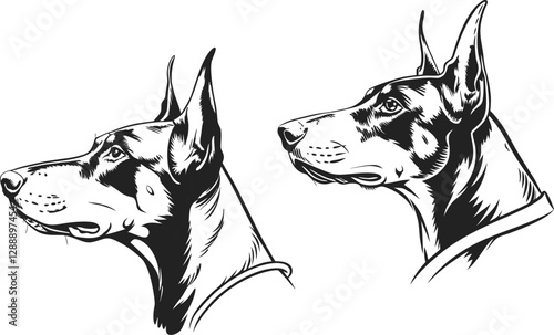 Doberman Pinscher dog silhouette, fearless and loyal, ideal for dog lovers, pet care illustrations