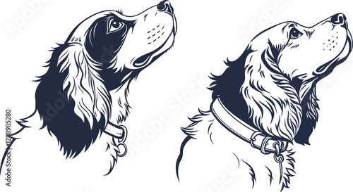 Cavalier King Charles Spaniel dog silhouette, head profile with noble expression, perfect for pet care, dog breed illustrations