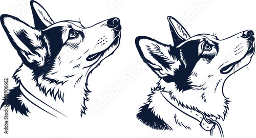 Corgi dog silhouette looking up with owner, ideal for pet care, animal companion, and dog training illustrations