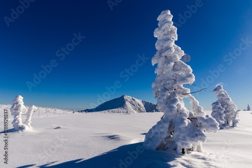 Snezka mountain in the Czech Republic