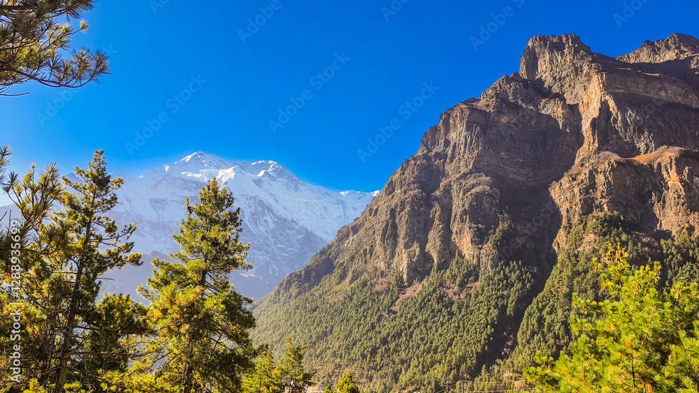 Picturesque mountain ledges above the trees. Picturesque mountain ledges above the trees.
