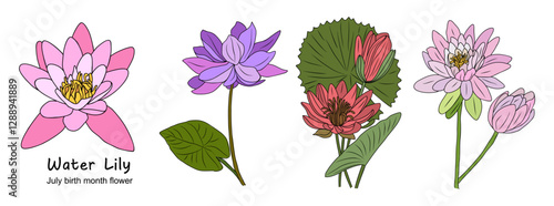 Water Lily July Birth month flower colorful vector illustrations set isolated on white background. Lotus Modern minimalist design for logo, tattoo, wall art, poster, packaging, stickers. 