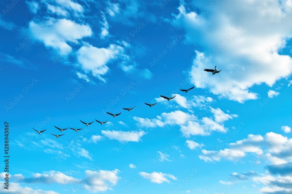 Geese in V-formation fly through a clear blue sky dotted with fluffy white clouds, exemplifying nature's beauty and harmonious journey. Geese in V-formation fly through a clear blue sky dotted with fluffy white clouds, exemplifying nature's beauty and harmonious journey.