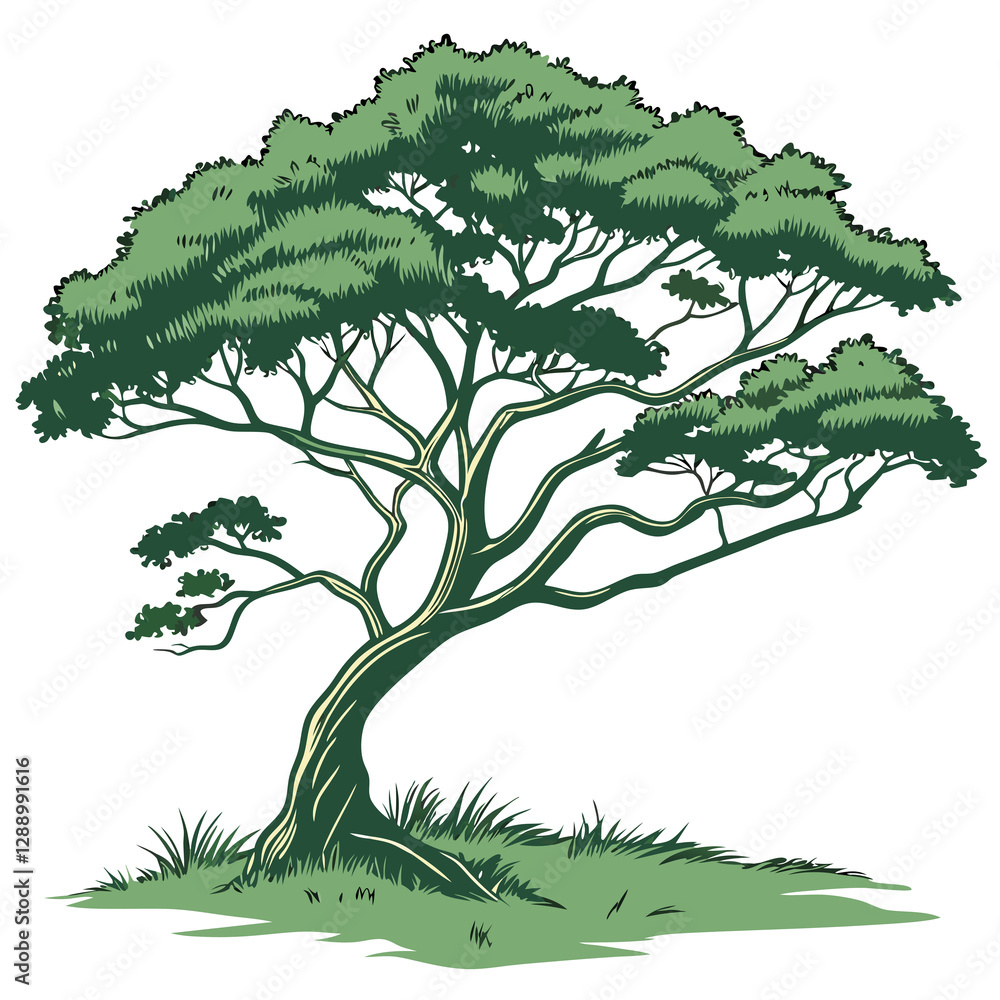 Fototapeta premium tree with leaves vector illustration