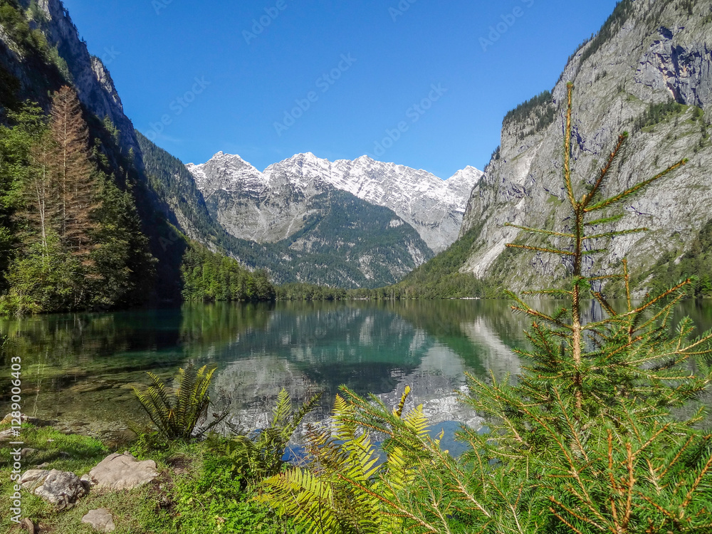 Fototapeta premium Koenigssee in Bavaria