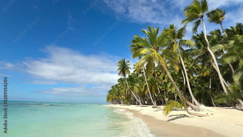 recreation on a beach with coconut palm trees, white sand beach and turquoise sea