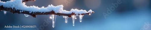 A delicate ice formation clung to the end of a branch like a fragile, crystalline ornament, winter, cold weather photo