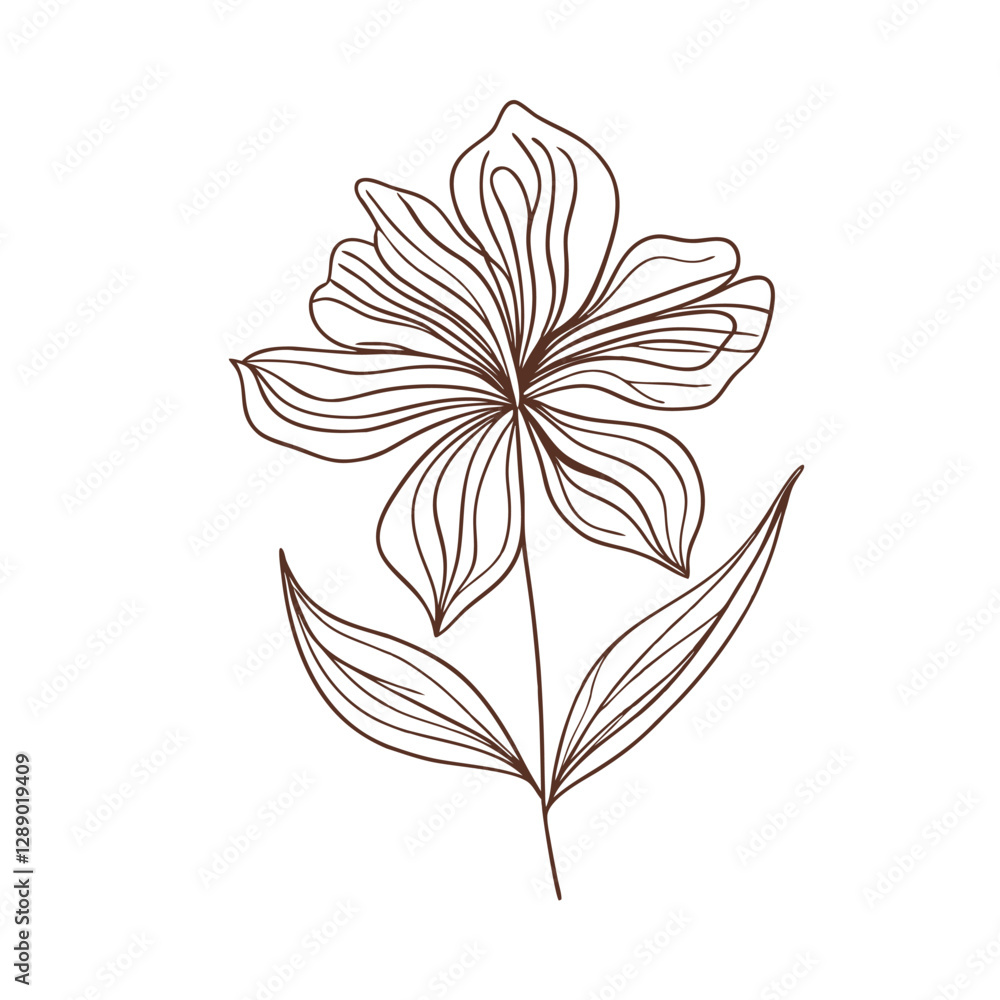 Obraz premium Boho Flower Delicate Lily Icon