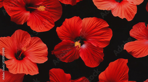 Wallpaper Mural Vibrant red hibiscus petals on a dark background for exotic floral design Torontodigital.ca