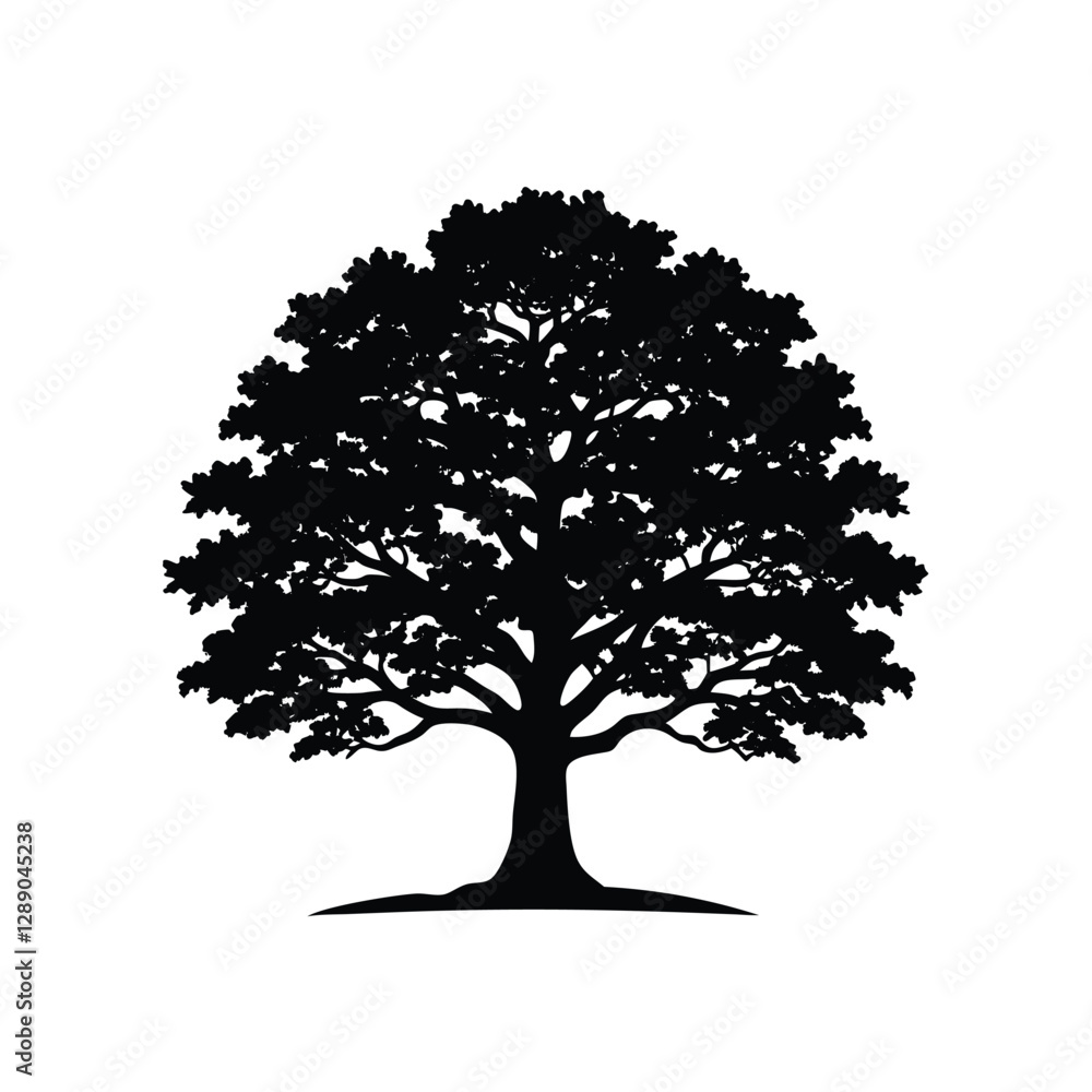 Fototapeta premium Silhouette of a Majestic Oak Tree with a Full Canopy and Strong Trunk