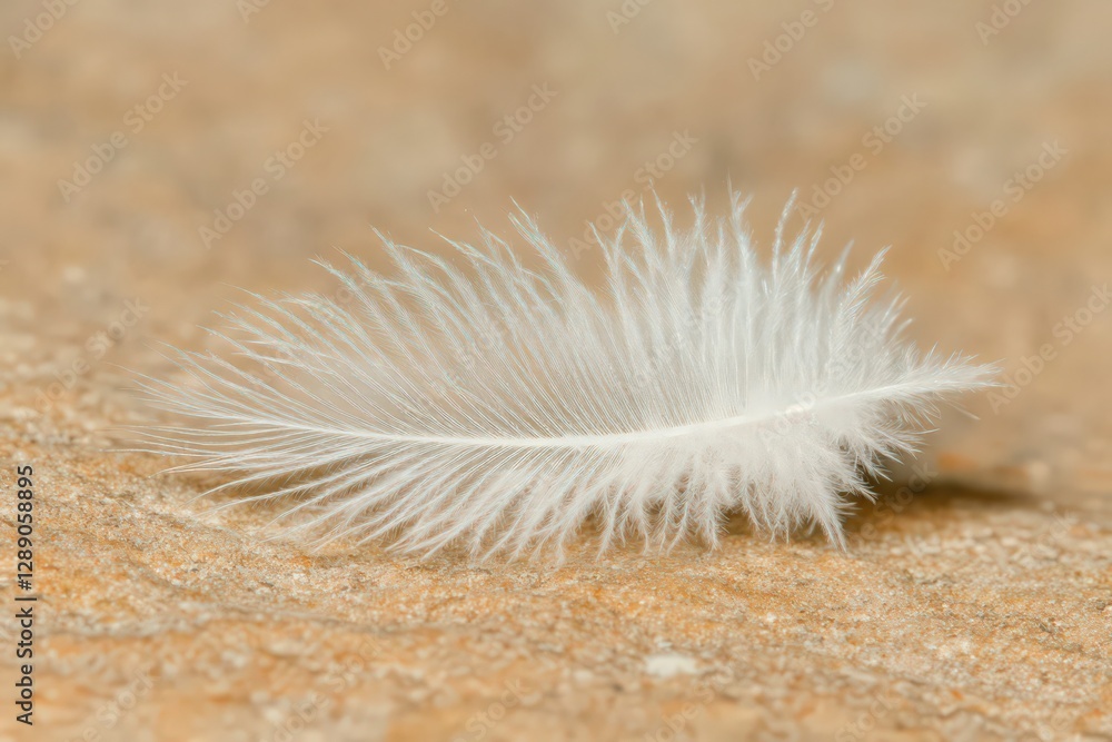 Close-up of a single, delicate white feather resting on a tan surface. Tiny light blue sparkles adorn the feather Close-up of a single, delicate white feather resting on a tan surface. Tiny light blue sparkles adorn the feather