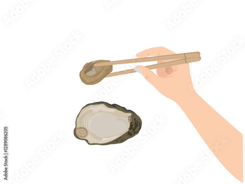 Oysters on a white background.