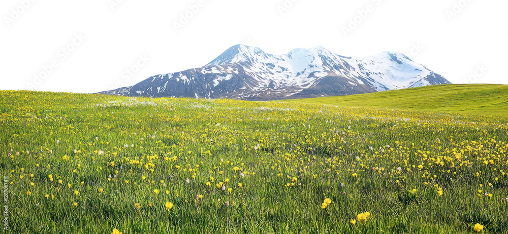 Fototapeta premium PNG Hilly meadow spring fields landscape mountains outdoors.