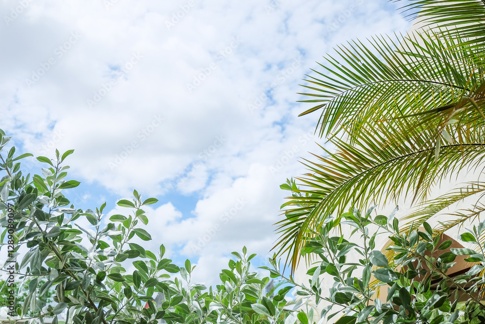 Fototapeta premium Palm Tree branch with leaves in front of blue sunny sky, tree with green branches against cloudless blue sky in sunshine, summer vacation concept.