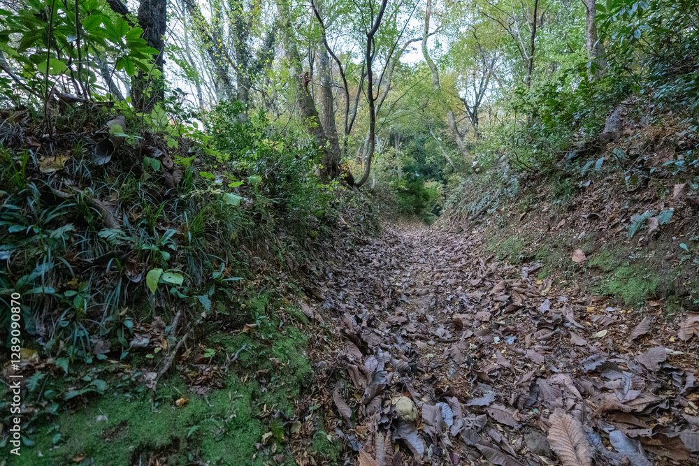 Fototapeta premium Historic old road “Salt Road” which is also a long distance hiking course and its surroundings