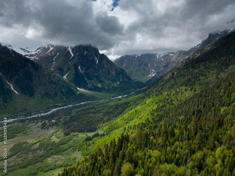 Fototapeta premium valley meadows mountains, steep peaks in clouds, flight over forest, aerial view