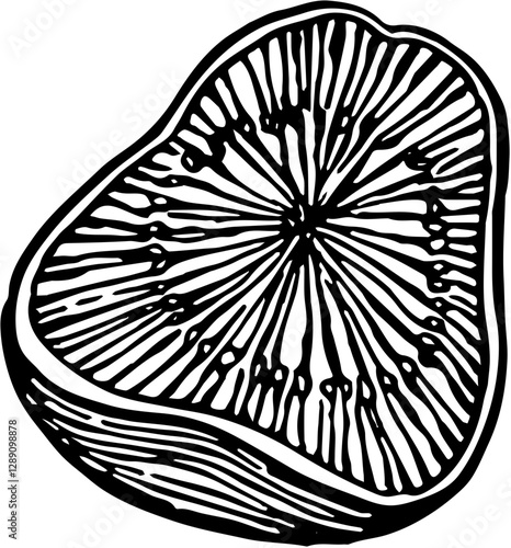 Fruit. Hand drawn vector isolated engraved sketch. Guava