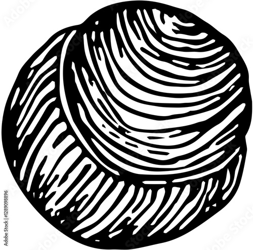 Fruit. Hand drawn vector isolated engraved sketch. Longan 