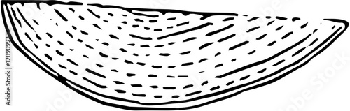 Fruit. Hand drawn vector isolated engraved sketch. Mango